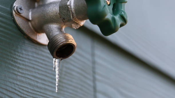 Best Plumbing Inspection Services  in Park View, IA